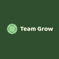 team