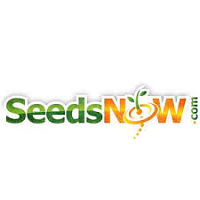 seeds now Hassan